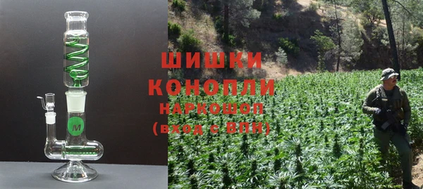 дживик Абаза