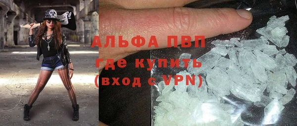 дживик Абаза