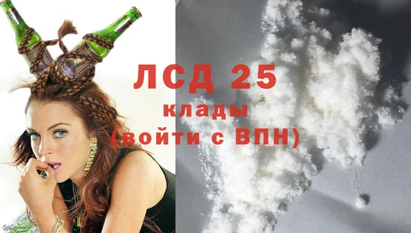 дживик Абаза