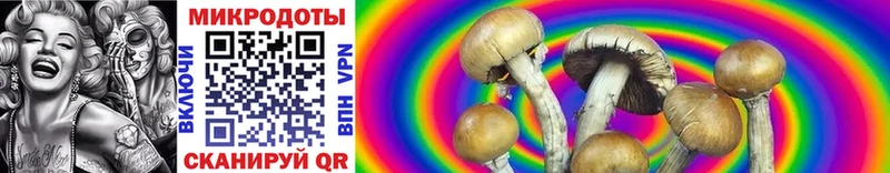 Галлюциногенные грибы Cubensis  Рыльск 